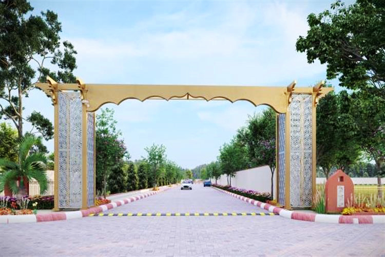 image gallery